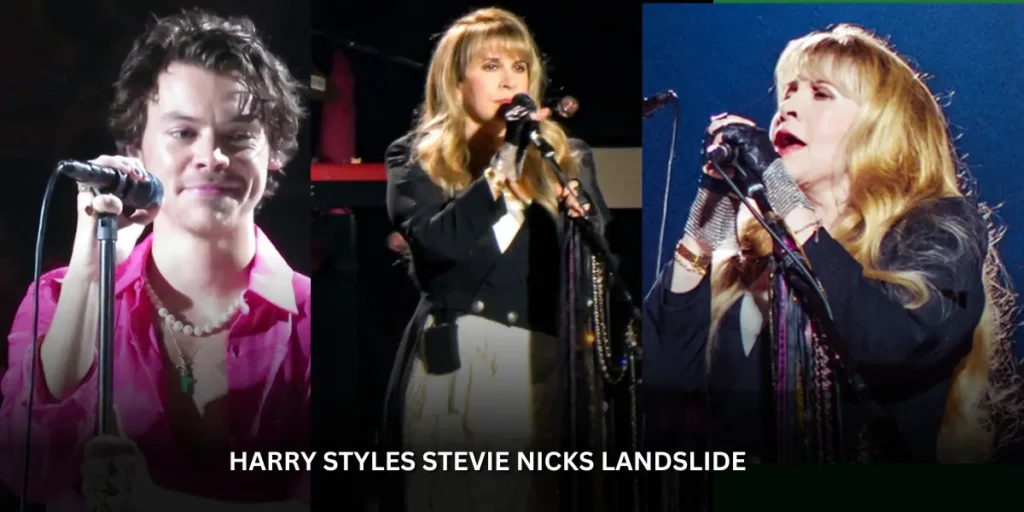 harry styles stevie nicks landslide